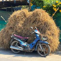 How much is too much hay for a scooter to carry?