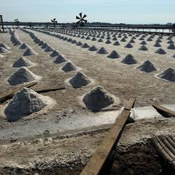 Once the water has evaporated, the salt is collected into photogenic crystal pyramids to sun dry.