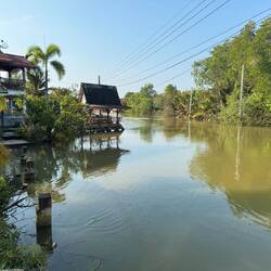 Our guesthouse is on the Prachachon Chuen. We watch lizards swim and kingfishers wait as we eat.
