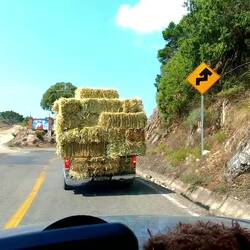 Blinker links heisst überholen?!?!🤣