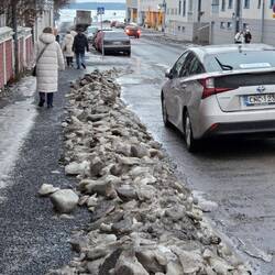 Folgen des Winters