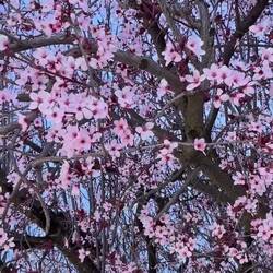 Frühling 20 Grad und auf den naheliegenden Bergen liegt der Schnee 😯😀