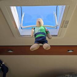 Wenn "Bär" nass ist, muss das Fenster schnell zu 😊.