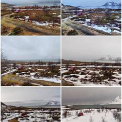 In 6 Tagen von weiß zu braun