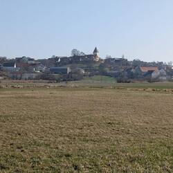 Blick auf Gundelsheim