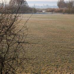 Endlich ist der Schnee weg.