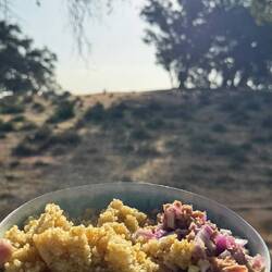 Quinoa mit Thinfisch und Zwiebeln 🤤