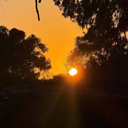 Sonnenuntergang am Samstag um 18:29 Uhr
