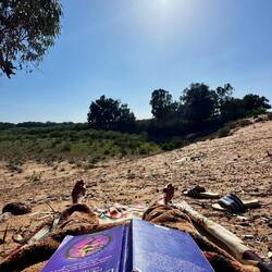 Bester Platz in der Sonne und fast Windgeschützt 👌