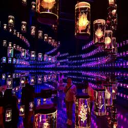 Museum of the Future