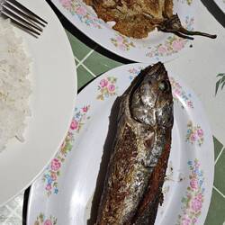 Am Abend gab es dann Fisch.