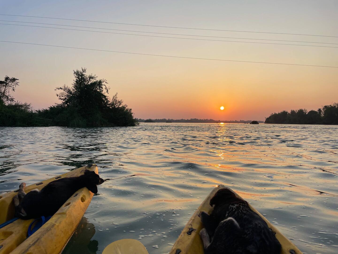 Kayaking and puppies at sunset... I couldn't be happier !