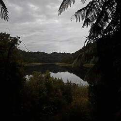 Zur Dämmerung am Lake Rotokare