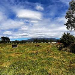 Dann versteckt er sich leider vor uns