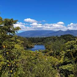 Er ist wohl schüchtern 🙈