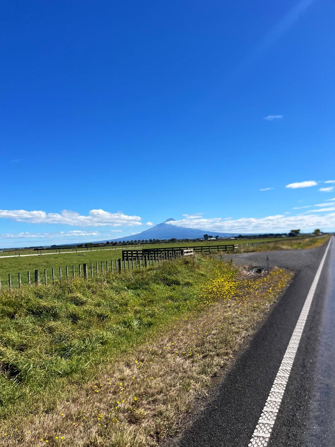 Juhu wir sehen ihn auf der Hinfahrt