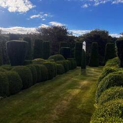 Wie in einem Schlosspark 😳