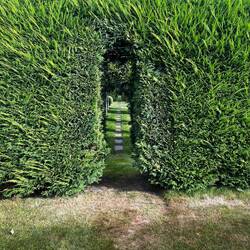 Eine Tour durch den Garten