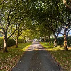 Die Auffahrt zum Anwesen