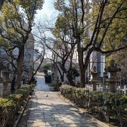 Durch Osaka spazieren