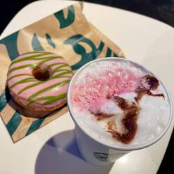 Starbuck Sakura 🌸 Treats
