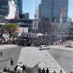 Shibuya Crossing