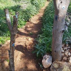 Der Weg zum Eremiten 😂