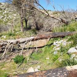 Wege waren oft nicht mehr begehbar