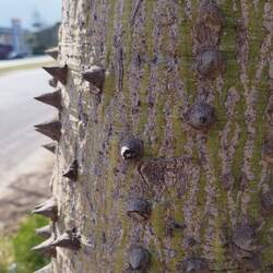 Ein schöner Tag 👍