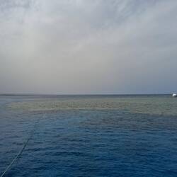 1. Tauchgang an Abu Dabab III