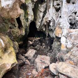 Dort kommen die Einheimischen dann raus