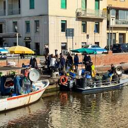Frischer gehts kaum, direkt vom Fischer frischen Fisch kaufen!