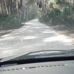 Was keiner gesagt hat, Gravel Road zur Plantage.