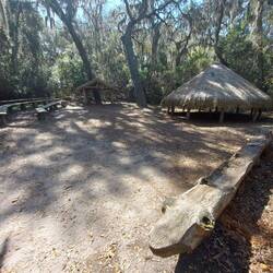 Die Behausungen der Timucua.