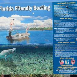 Auch hier gibt es Manatee's.