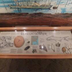 Beschreibung der Timucua.