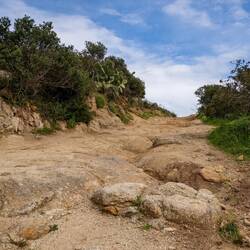 Hier wollten wir Milo und Dusty dann doch nicht hoch quälen 😉