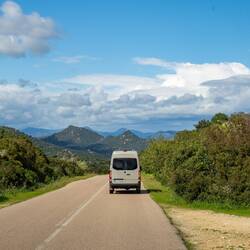 Milo vor schöner Landschaft