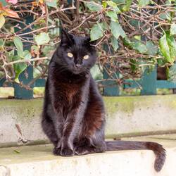 Da guckst Du... 😉