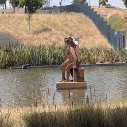 Water around the museum