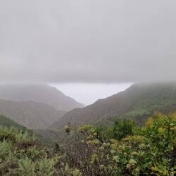 Hoch oben geht es wieder durch die Wolkendecke.