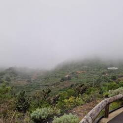 Das geht unfassbar schnell.