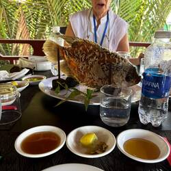 Elephant ear fish for lunch