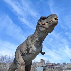 Der Dino-Park war noch nicht eröffnet.