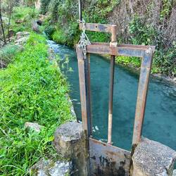 Gate on the mill's acequia