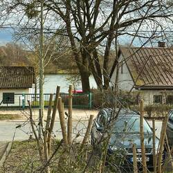 Seeblick ausm WZ