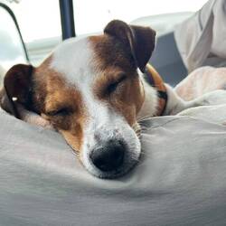 Schnell nochmal ausruhen, bevor der wilde Quentin kommt