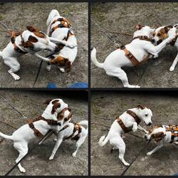 Und dann gings auch schon zur Sache