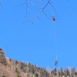 Heli-logging - first the saw then move the downed tree. 🤯