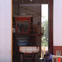 Es wird abwechselnd von Hand und maschinell geerntet.